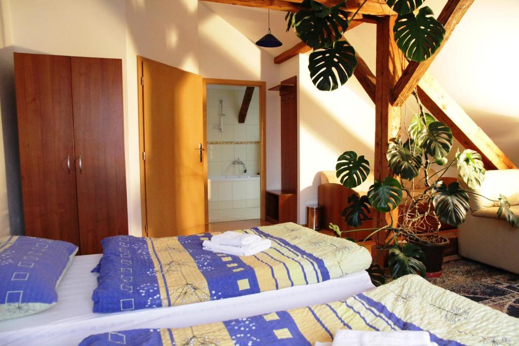 Penzion Brahama Prešov Quarto foto